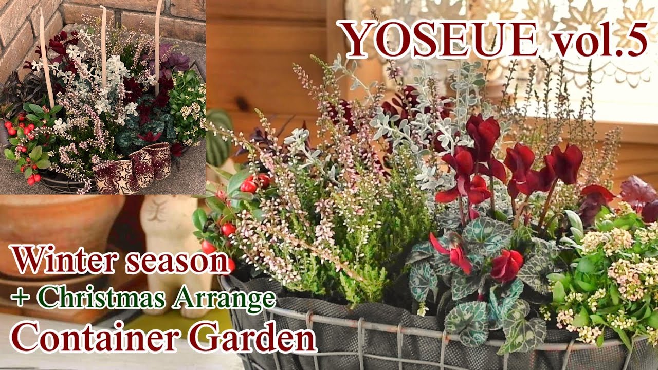 可愛いクリスマス寄せ植え その他インテリア雑貨 Toshi 通販 3096619Creema クリーマ