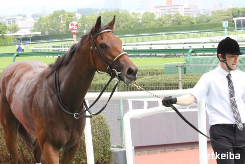 予約受付中 11 1 0:00発売！クリスマス限定 キューブラスク5個入 ジョワイユノエルすべての商品CAFEOHZAN公式オンラインストア