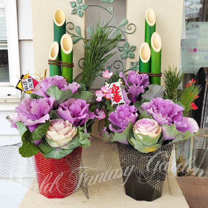 新年を華やかに彩る お正月の寄せ植え おまかせ正月飾り 花苗 鉢 ピック GreenlifeYoshimuraBHBG001