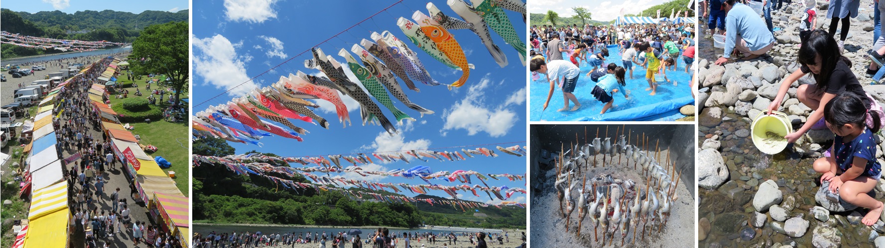 １２００匹が群泳さがみはら南区タウンニュース