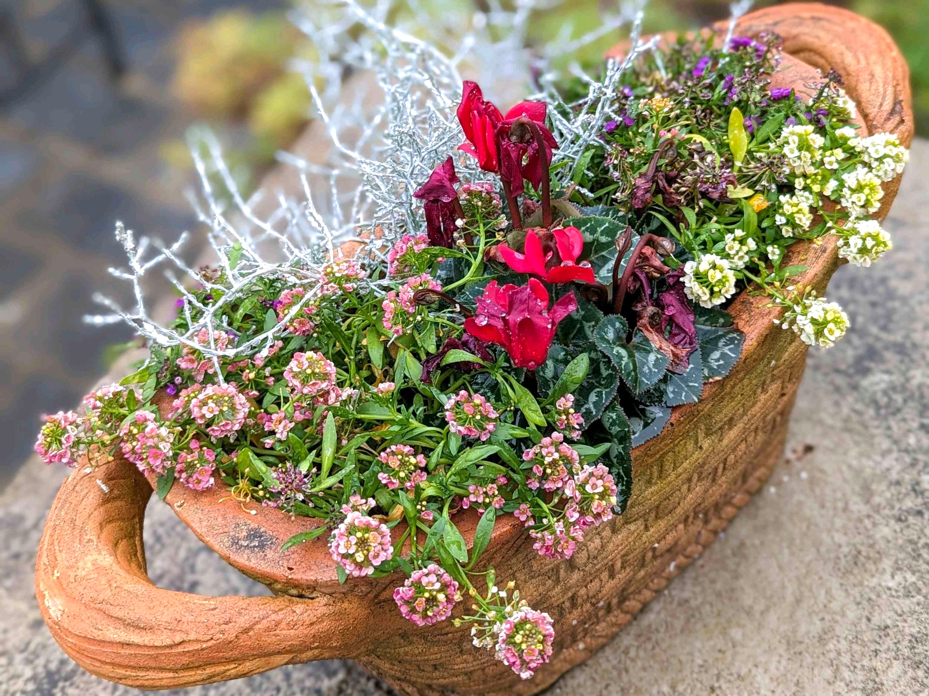 寄せ植えで冬の玄関を彩るクリスマスリース作り♡LEE