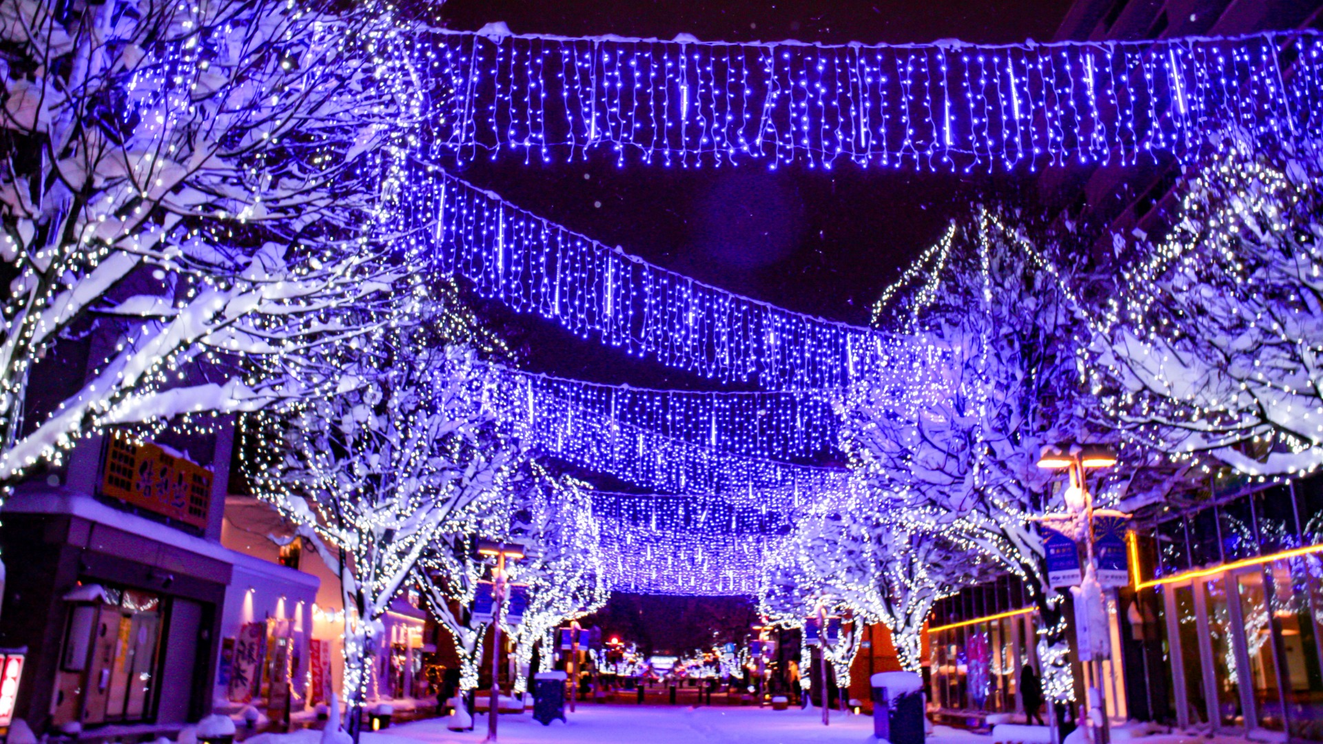 コンサート、マーケットや雪景色も楽しめる！ 冬を彩る、幻想的なイルミネーションを巡る旅つなぐ旅〜東日本〜 ひがしにほんトラベルガイド