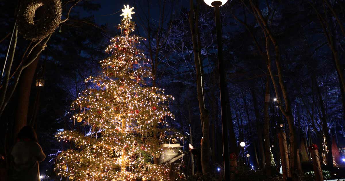 日本のカップルがクリスマスを第２のバレンタインデーと捉える理由 1 2- CNN.co.jp