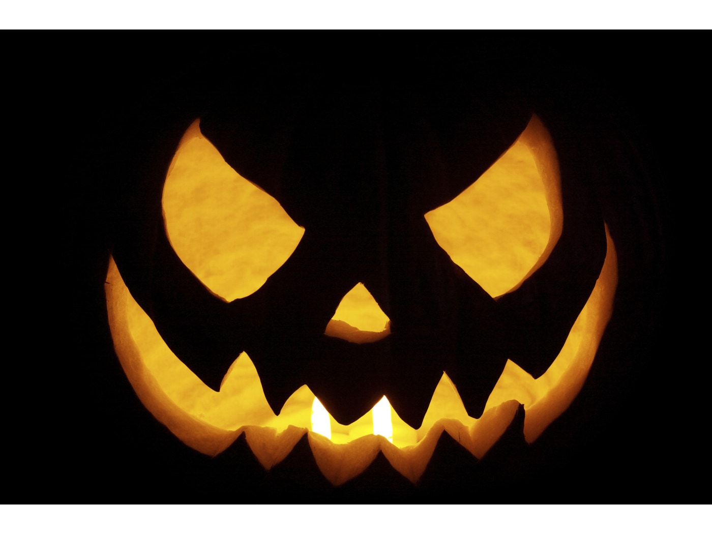 意外と簡単！スイスのアーミーナイフで子供と一緒にハロウィンかぼちゃランタンを作ろう！ナイフ・刃物・マルチツールBE-PAL キャンプ、アウトドア、自然派生活の情報源ビーパル