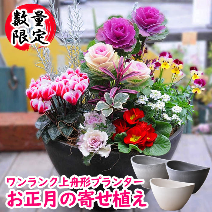 クリスマスブーツ：Ｗ植木鉢 プランター 多肉植物 寄せ植え 直径約60㎝お値打ち1