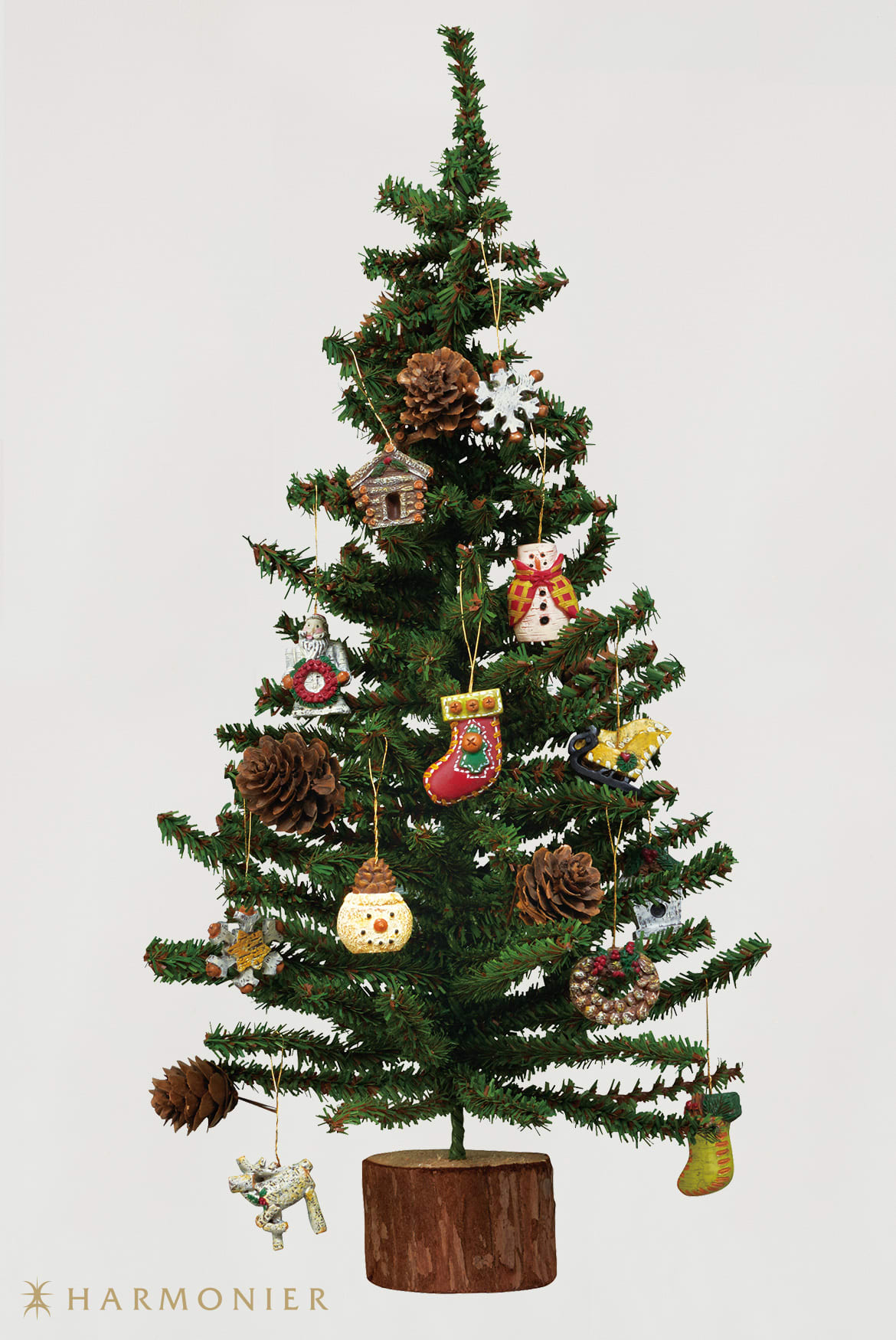 クリスマスツリーを作ろう – めいらく調査隊が行く！知って得する食と健康コラム