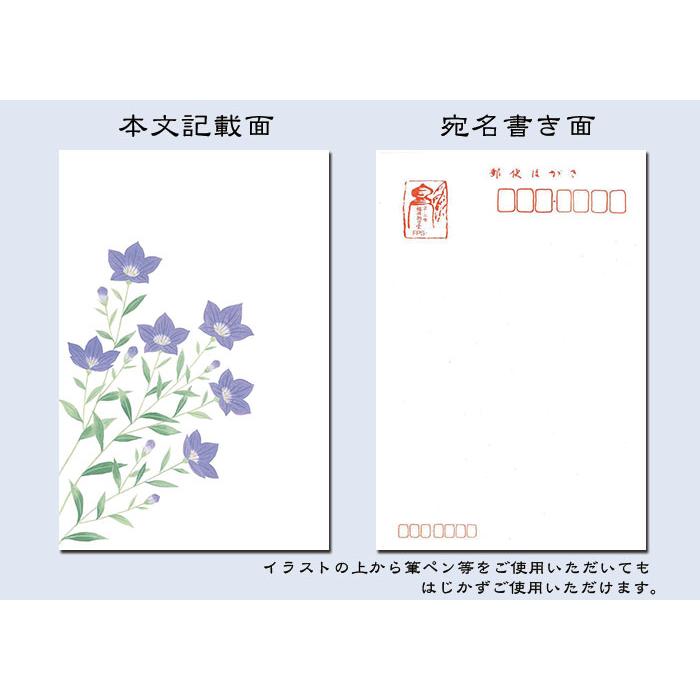 水仙の花を描いたお歳暮お礼状絵葉書さきちん絵葉書