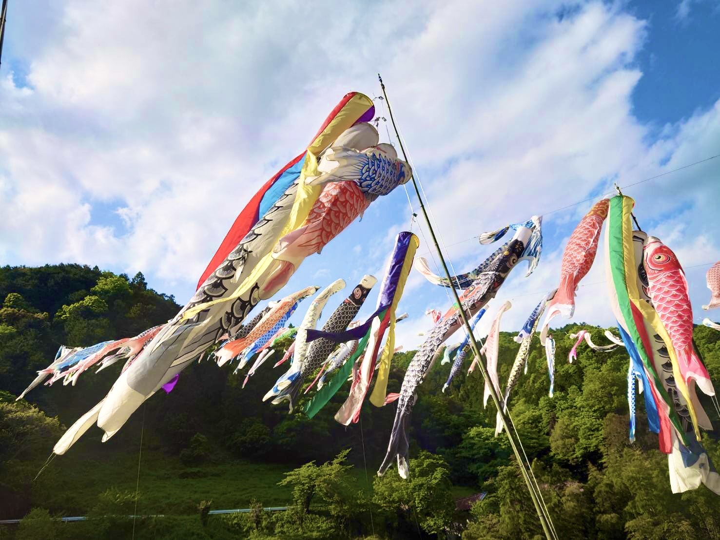 こどもの日、相模川に1200匹のこいのぼり 神奈川 写真6枚 国際ニュース：AFPBB News