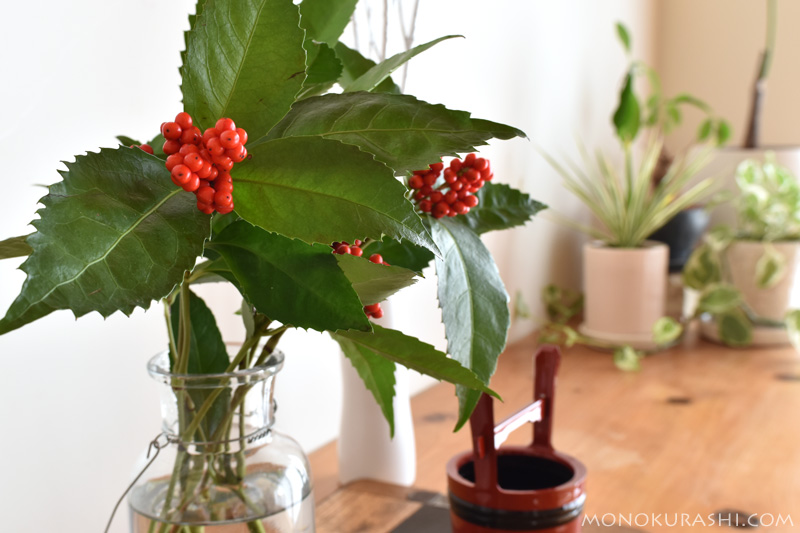 千両と万両の違い・見分け方正月の赤い実「南天・ヤブコウジ」も掲載 - 花だより