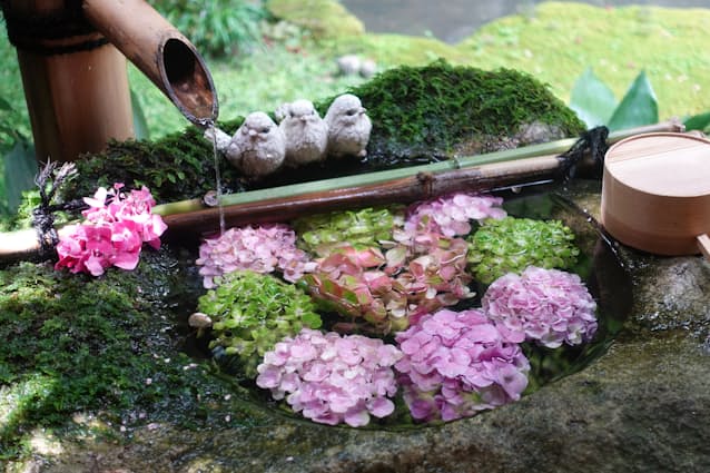 阿須賀神社の手水鉢熊野学の森