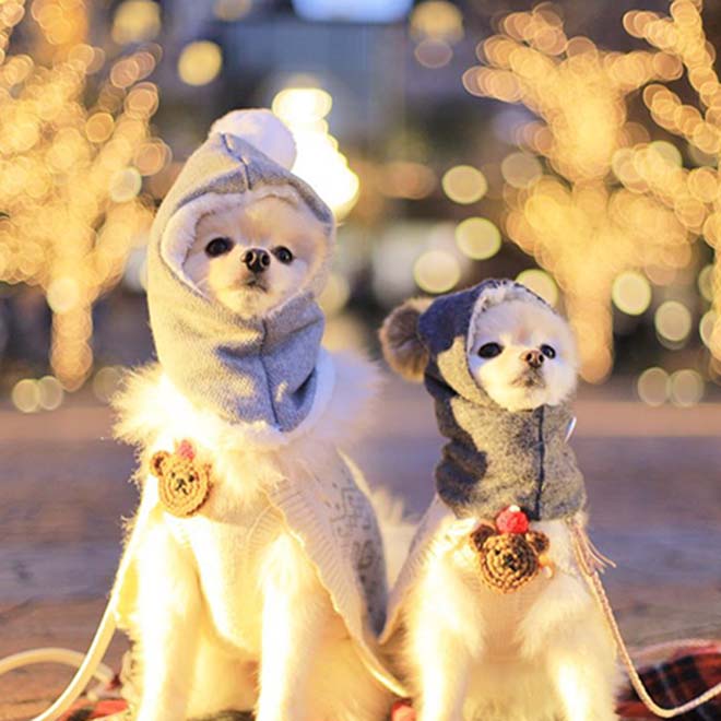 美しい幼児の子供、クリスマスツリーの前でペットの犬と一緒に本を読んで、彼の周りの装飾とプレゼントの写真素材・画像素材 Image 175668417