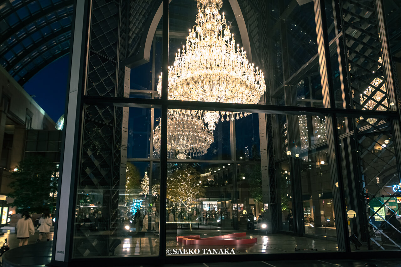 イルミネーション＆クリスマスマルシェ2024│恵比寿ガーデンプレイス