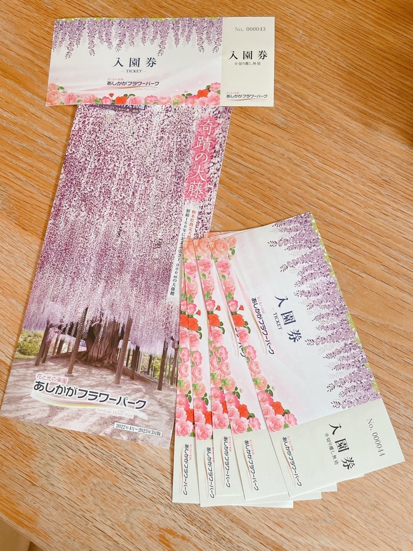 あしかがフラワーパーク入園券チケット足利フラワー栃木県イルミネーション光の花の庭 - メルカリ