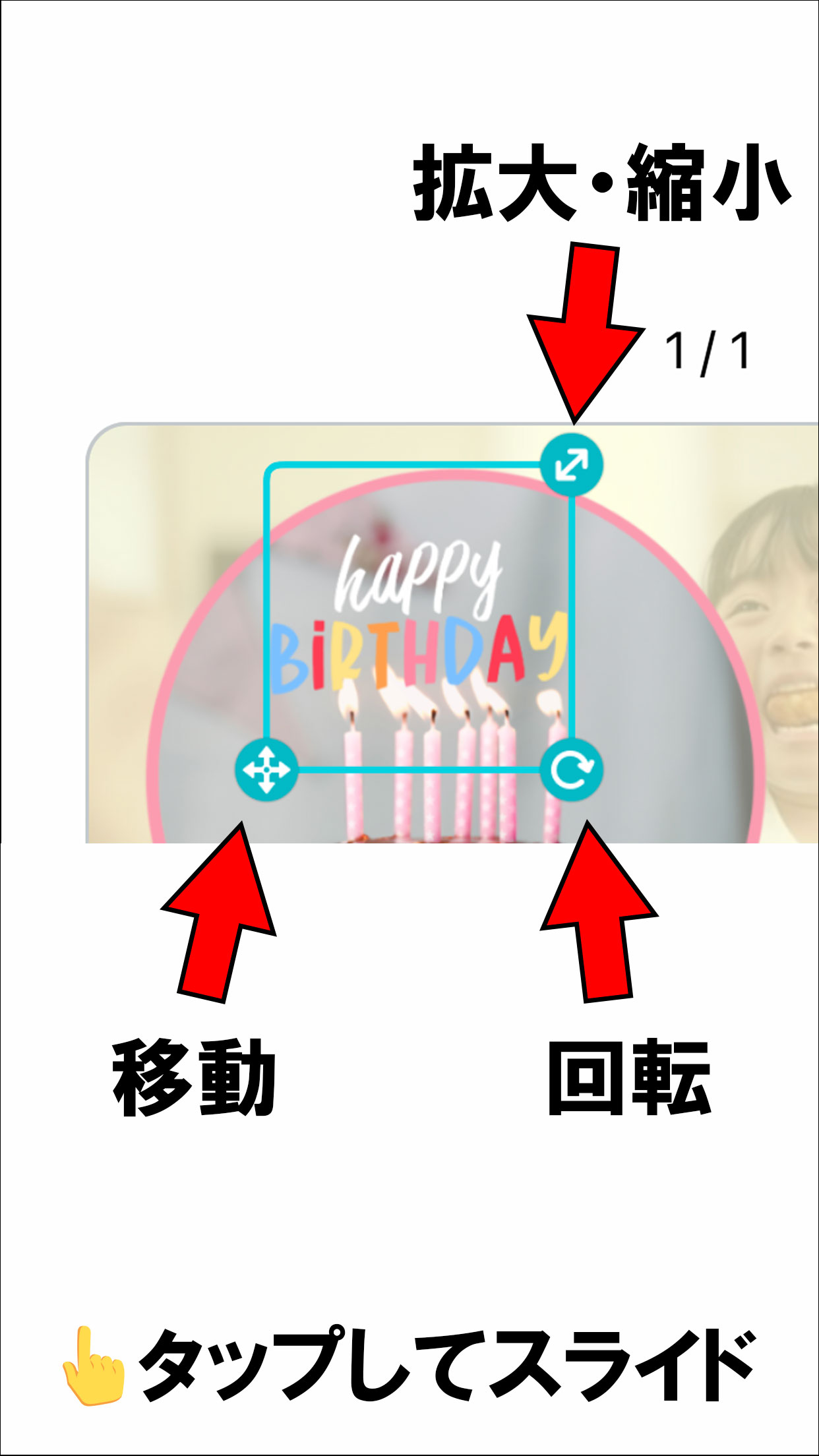 5分で出来る！ お祝いメッセージ動画の作り方ローズプードル