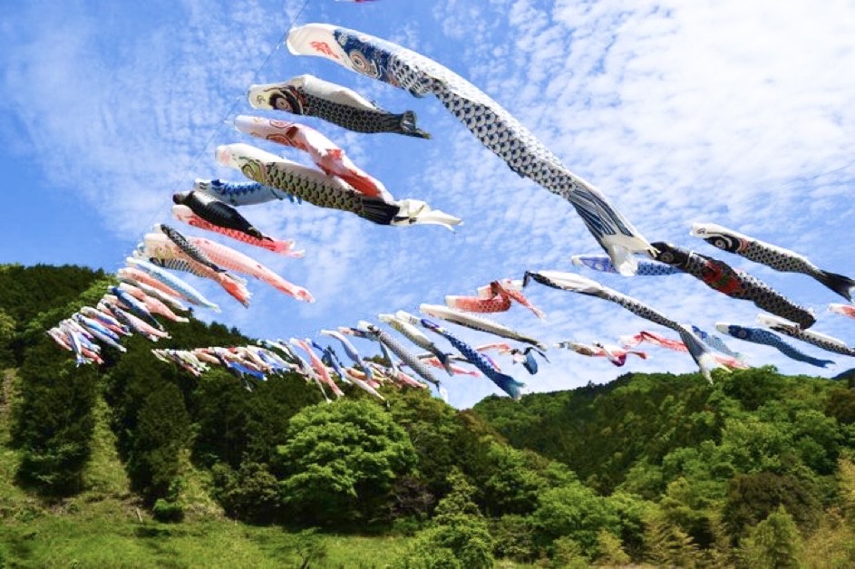 ≪写真・動画掲載中！≫ このイベントは終了しました4月29日 火 ～5月5日 月 開催 鯉のぼり谷渡しが開催されます！ - すもうよ緑区