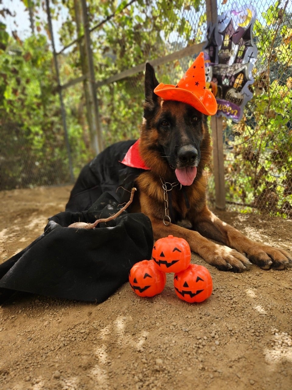 ハロウィンドイツのバンド- Wikipedia