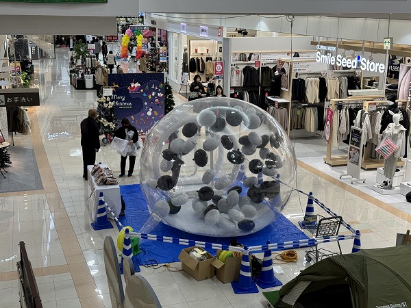 オリジナルの三角くじが手軽に作れる！「自分で作れる三角くじ」