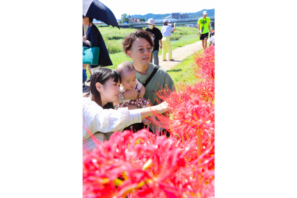 宮若市で楽しむ彼岸花の美しさ