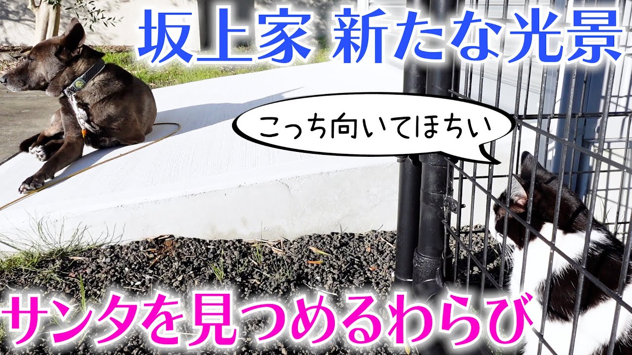 さかがみ家オンラインストアさかがみ家