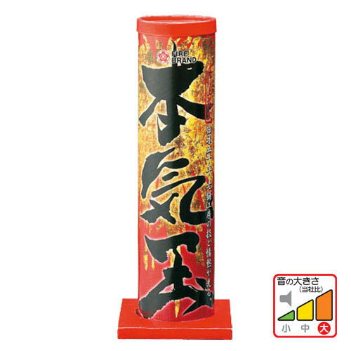 2025 関西近畿で大きい花火大会は？人気の花火大会10選を紹介