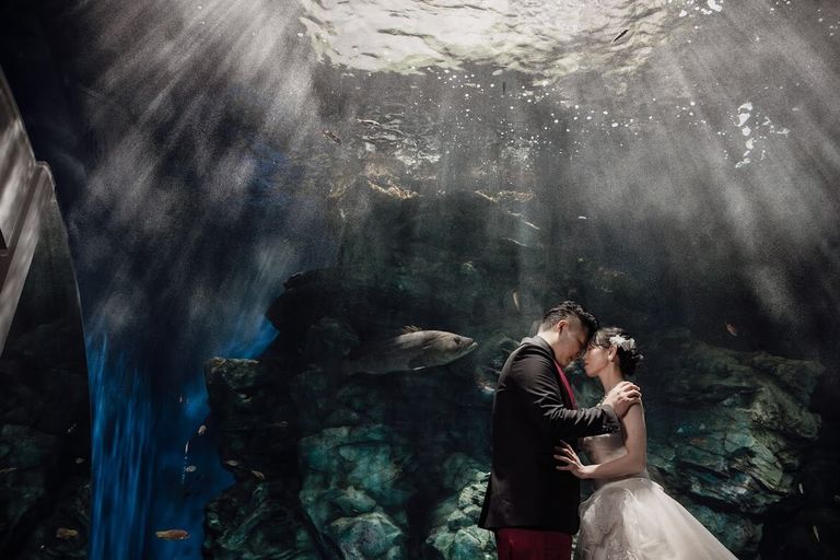 マリンタワー ウエディング MARINE TOWER WEDDING で結婚式トキハナ