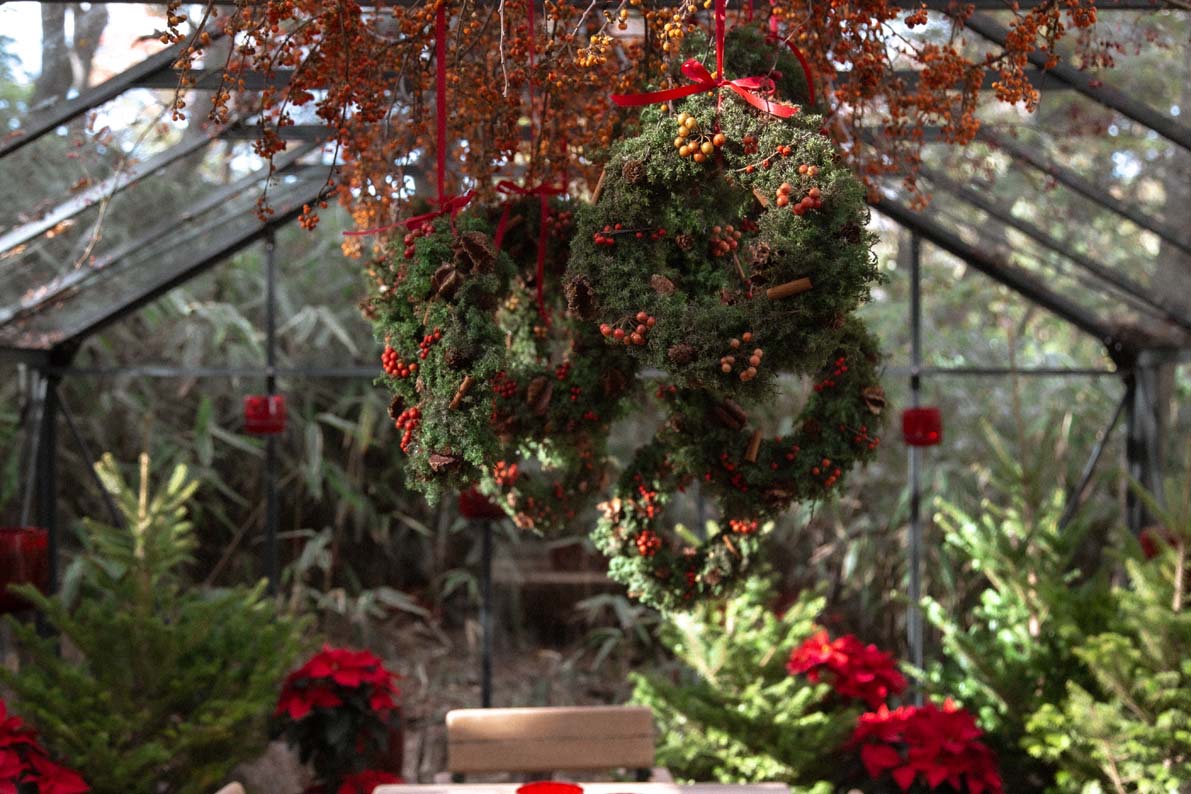 箱根でクリスマスを過ごそう♡カップルにおすすめなプランをご提案！aumo アウモ