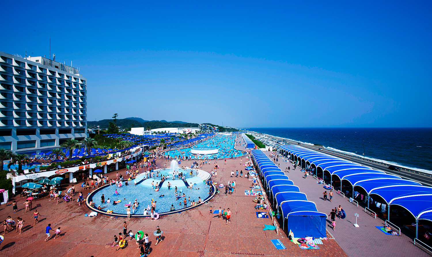 大磯海水浴場子供とお出かけ情報「いこーよ」