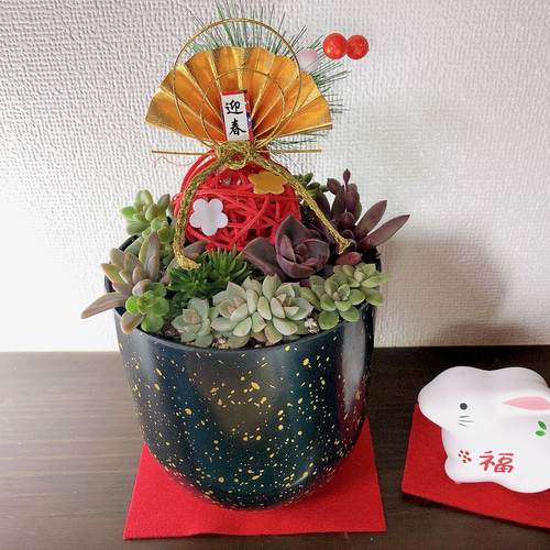 正月の寄せ植えで新年を祝う！おすすめ花材と作り方GardenStoryガーデンストーリー