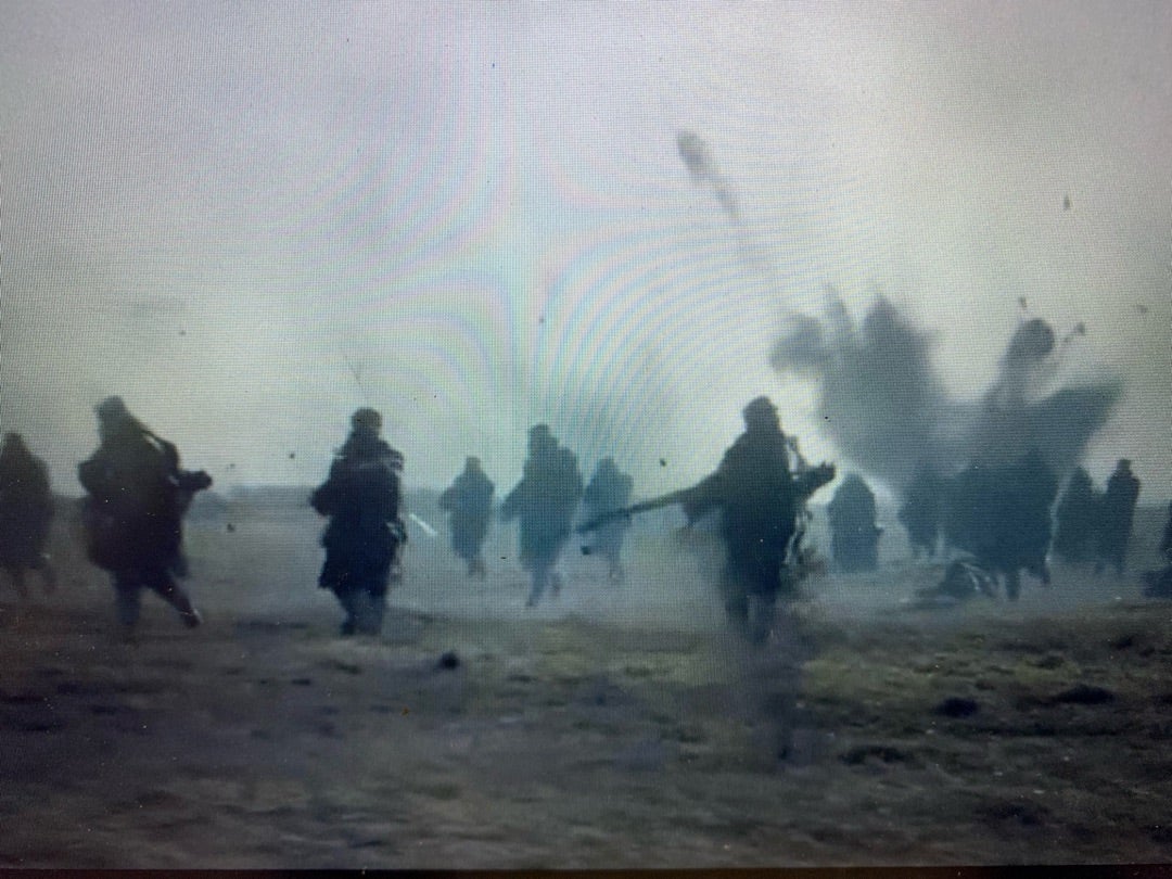 日野市 迫力満点の宮神輿！八坂神社の例大祭が2024年も開催決定。9月の3連休は伝統的なお祭りに触れよう号外NET 日野市