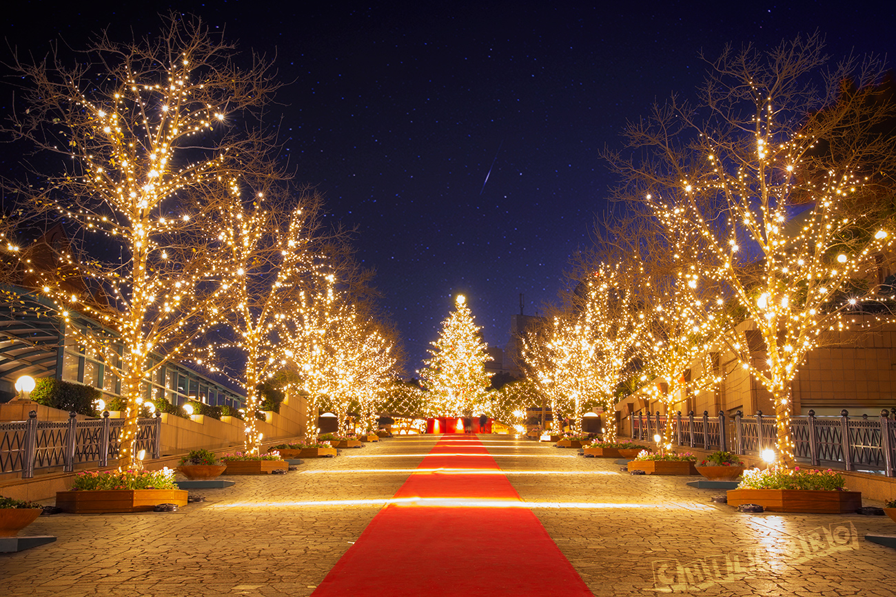 恵比寿ガーデンプレイスのクリスマスツリーたくさんの方で賑わってました☺️ 恵比寿ガーデンプレイスタワーとセットで📸 Date： 2024 12Location：恵比寿ガーデンプレイス Camera：SONY ILCE-7M4 @sonyalpha Lens：SIGMA16-28mm F2.8DG DN @sigma_japan恵比寿