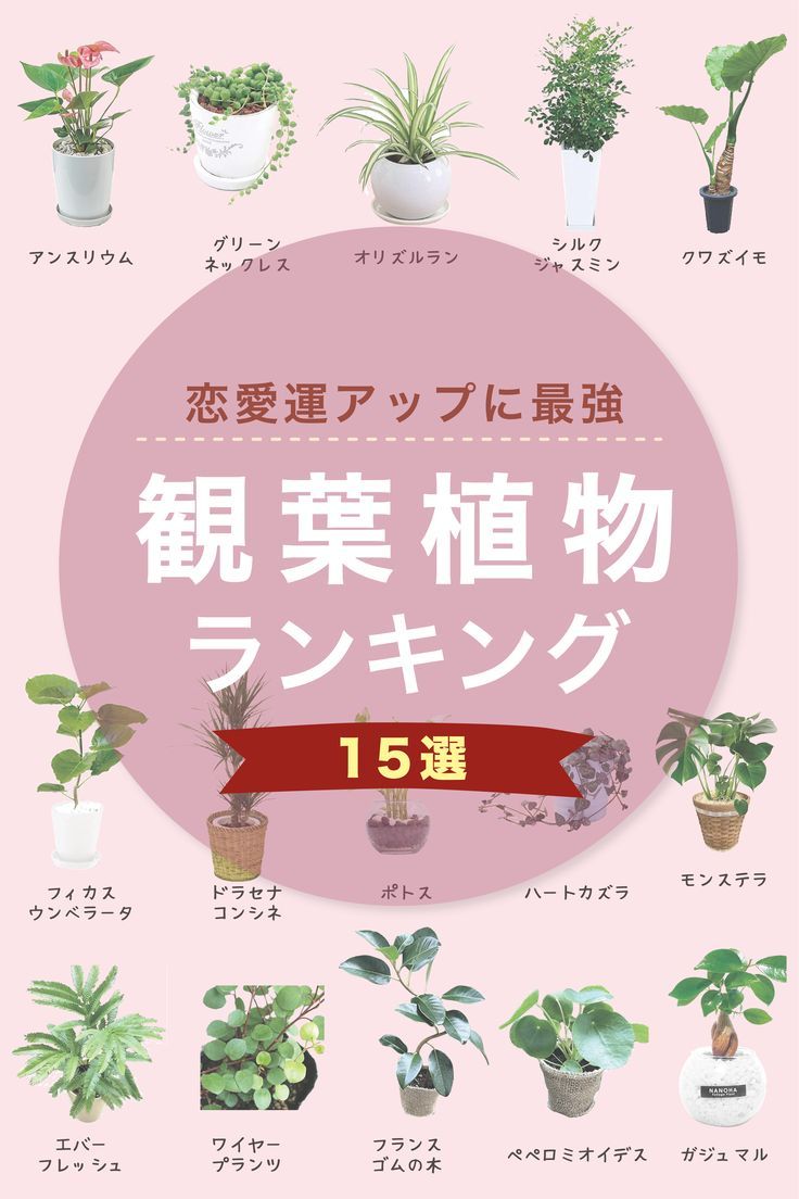 縁結びうさぎ 風水ストラップ 恋愛運縁結びうさぎ屋