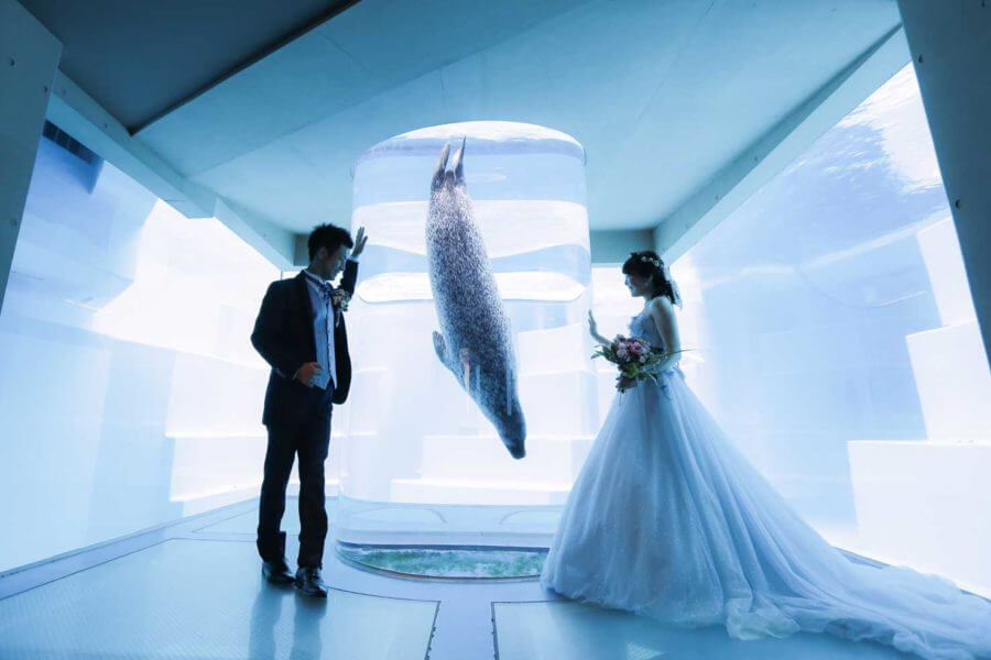 マリンワールド海の中道フォトウェディング・前撮りに人気のロケーションスポット福岡・九州でフォトウェディング・前撮りならウェディング セレクト！フォトウェディング