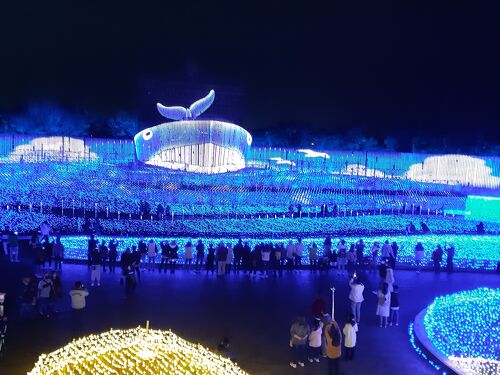 なばなの里のクリスマスイルミネーション2025 年のリアルなLemon8ユーザー体験