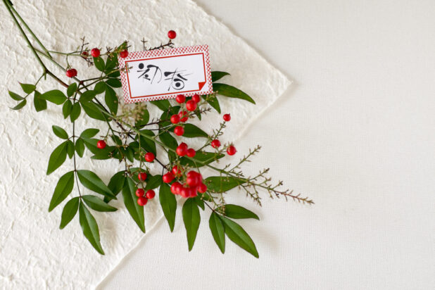お正月に飾りたい縁起のいい赤い実11種！正月の花LOVEGREEN ラブグリーン