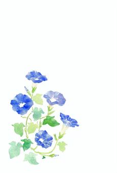 お中元お礼状 手描きイラスト無料イラスト・フリー素材なら「イラストAC」