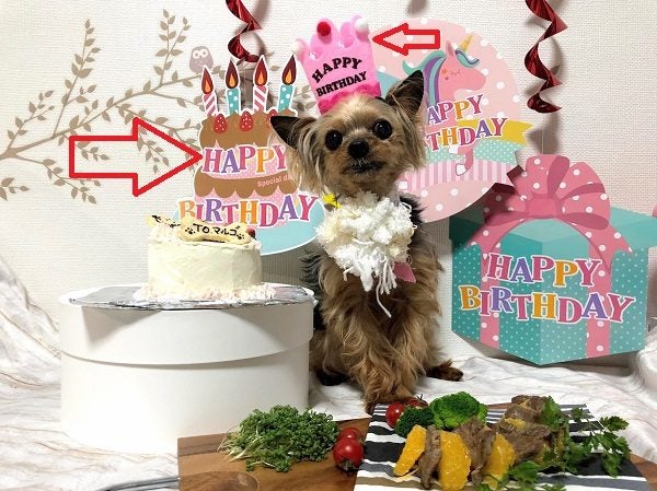 セリアで叶う！おしゃれで華やかな誕生日飾りおすすめ29選 バルーン・ろうそく・装飾- macaroni