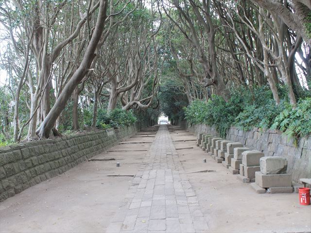 酒列磯前神社に祀られた”幸運の亀”は宝くじ当選の奇跡を起こす？体験談が話題に！ - 運気アップになる金運占い・復縁占い