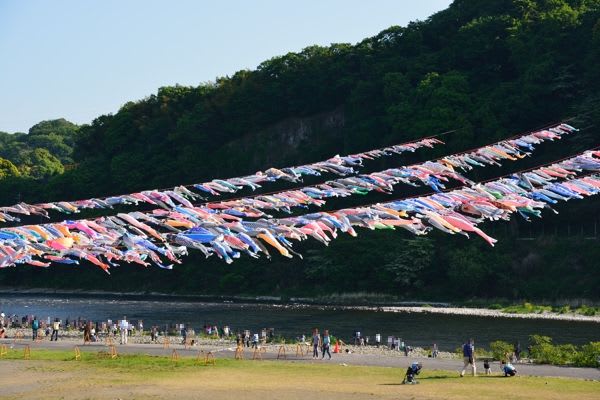 4月29日 泳げ鯉のぼり相模川相模原市中央区フォトニュース
