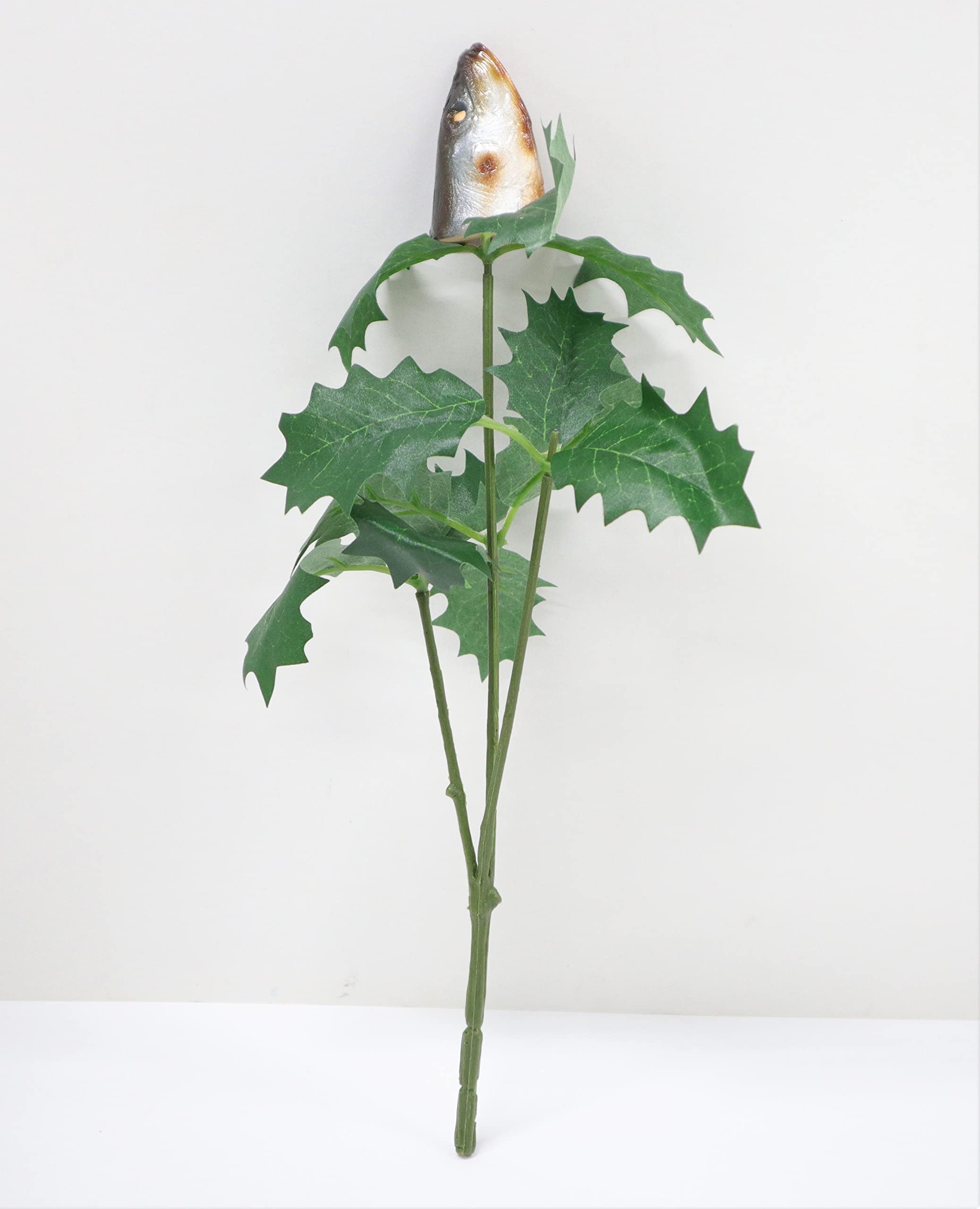 Amazonヒイラギ切り枝10本 無農薬 柊 節分飾り リースやスワッグ 挿し穂にもリースおもちゃ