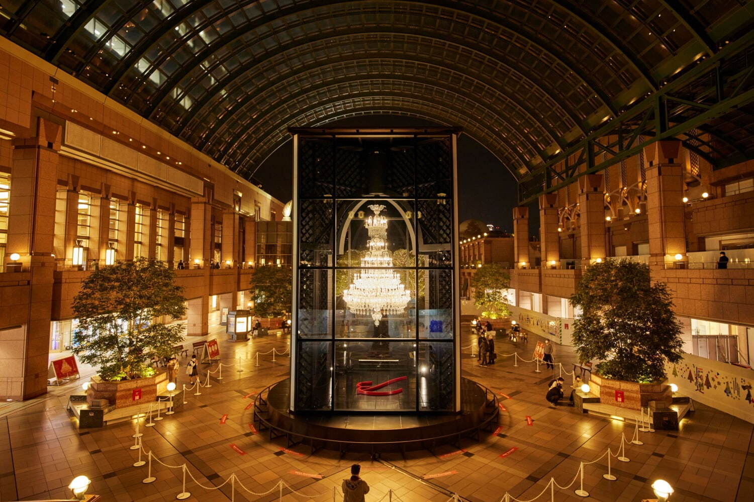 バカライルミネーション☆～恵比寿ガーデンプレイスねこにゃんのブログ