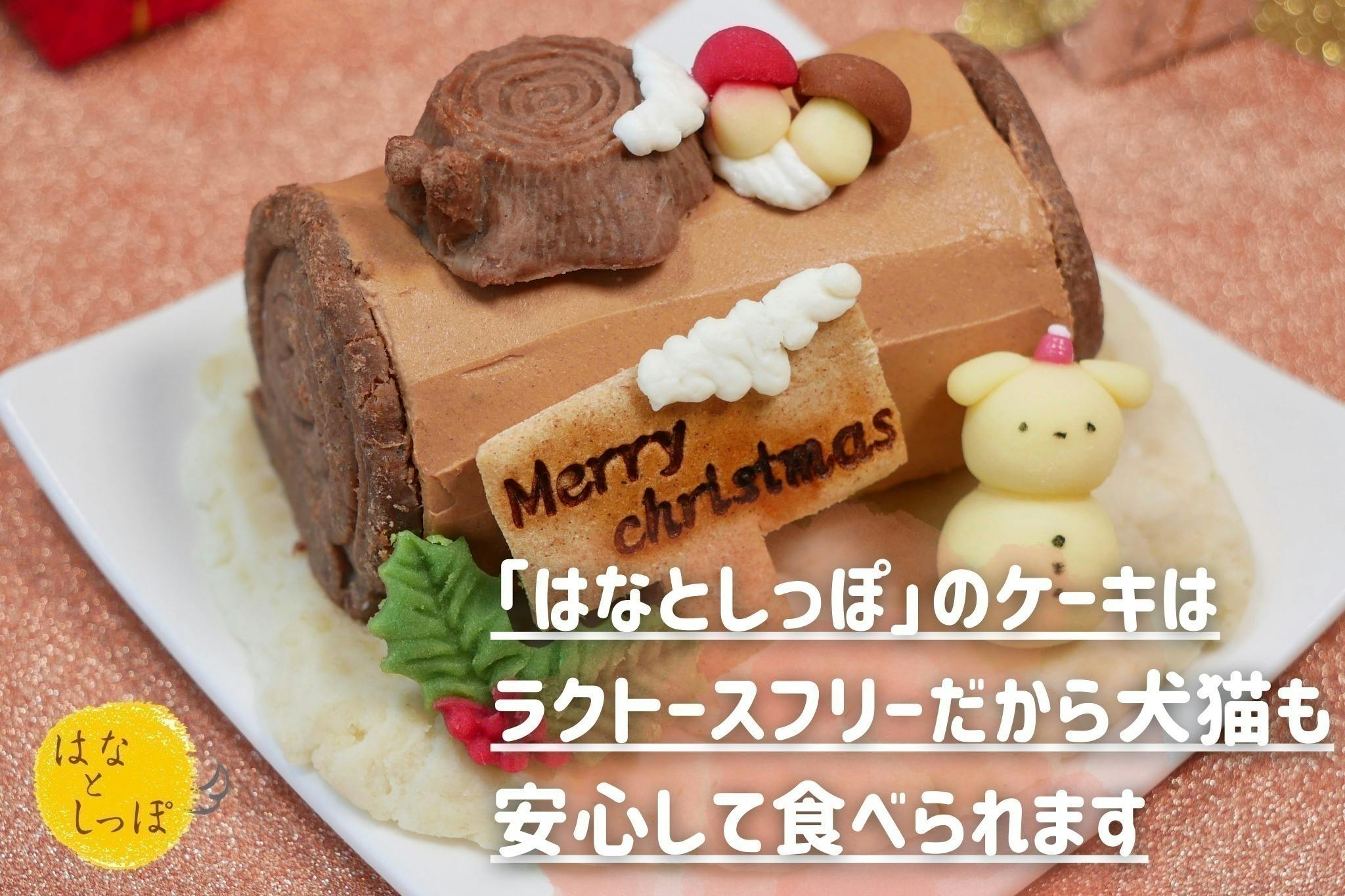 ねこねこ×クリスマスケーキ 「ねこねこ」よりおひとりさまサイズで楽しめる新作の『こねこサンタケーキ 』をはじめ、こねこのデザインが可愛らしいオリジナルニットバッグ付きのクリスマスケーキが新登場！株式会社オールハーツ・カンパニーのプレスリリース