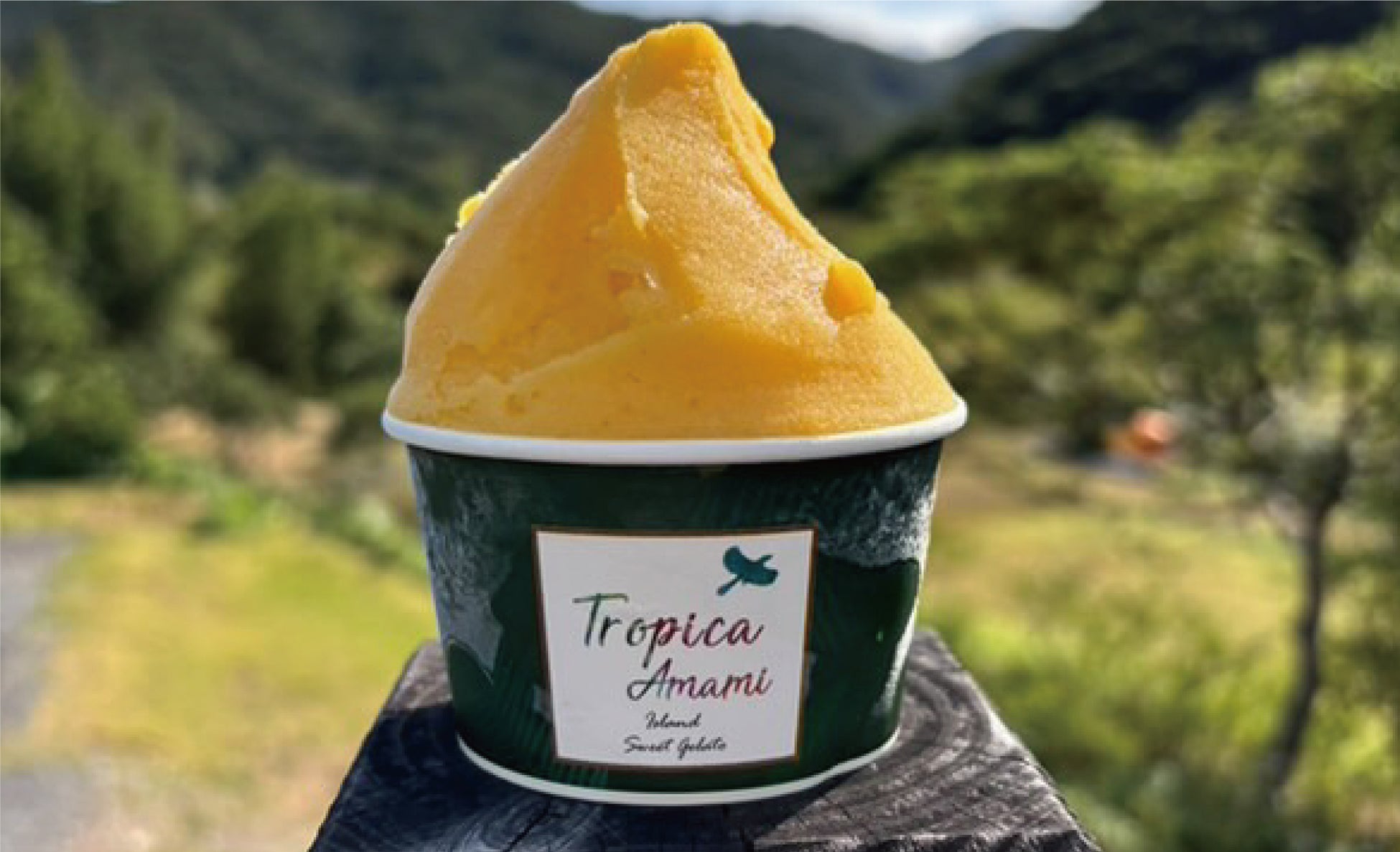 関西ではここだけ！コールドストーンクリーマリーのチョコミントアイス「パーティーミントブルー」は見た目もポップで楽しい一品 :スイーツハンター月ウサギの食べ日記