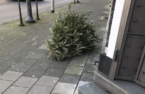 ドイツ流正しいクリスマスツリーの楽しみ方 - アンサンブラウ