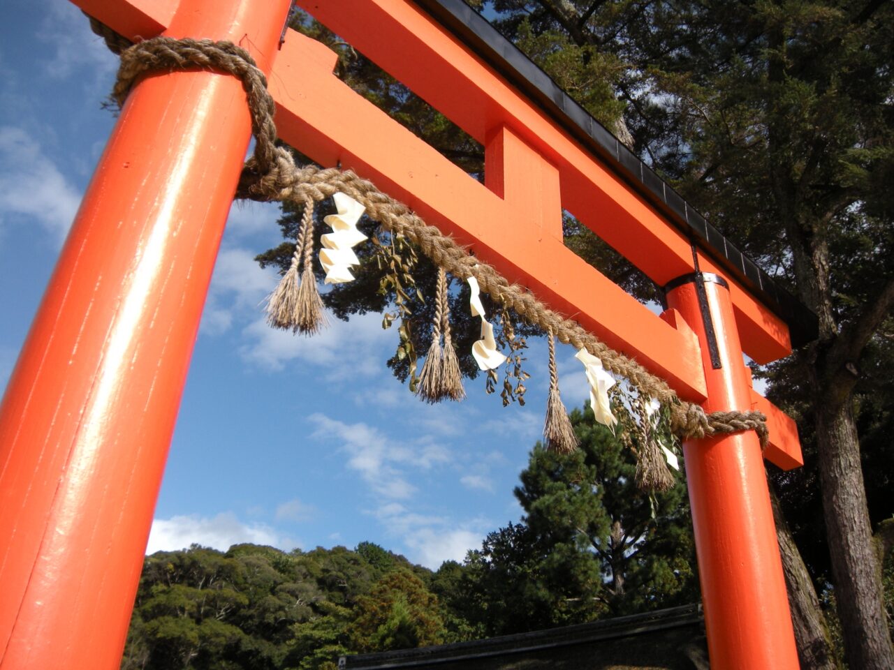 立川市の初詣なら「諏訪神社」がおすすめ。屋台・地酒の試飲もあって車でも行ける - 多摩っぷ