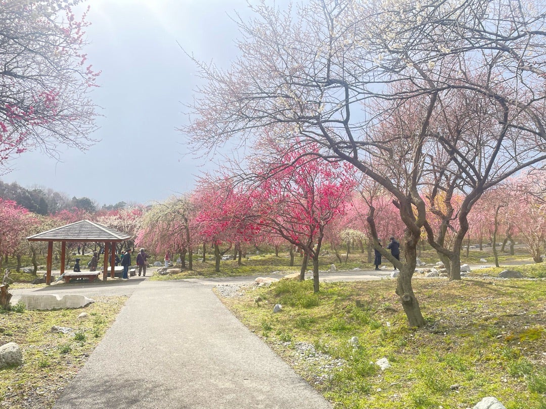 第3ステージ いなべ コース紹介Tour of Japan 2025