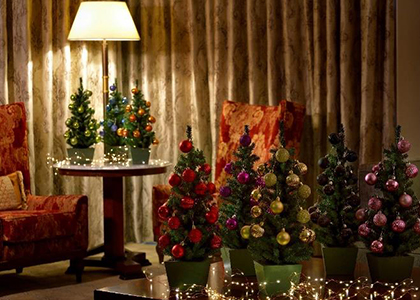 ホテル椿山荘東京のクリスマスケーキ2024！完売必至の王道ショートケーキやモンブランなど - OZmall