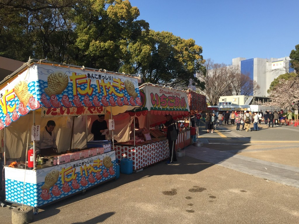 大池公園桜まつり2025ライトアップは？屋台や駐車場情報など！はるLog