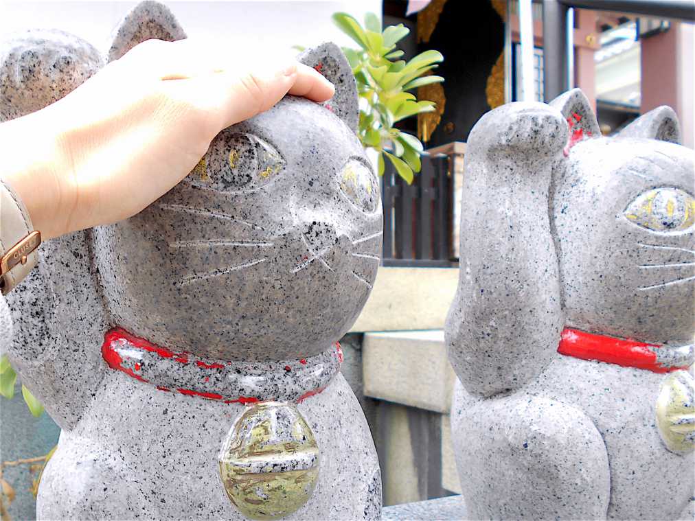 招き猫の効果でご利益アップ！ おみくじや御朱印が猫尽くしの今戸神社 – Umami bites