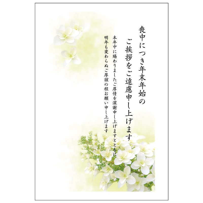 楽天市場 喪中はがき印刷 喪中ハガキ 170枚 切手はがき代込 寒中見舞い 年賀欠礼 格安 早割 カラー ネット 官製はがき 胡蝶蘭 x:印鑑・シャチハタ＠おんらいん工房