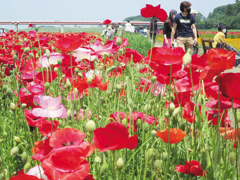 ちょこたび埼玉観光情報局 on X: 